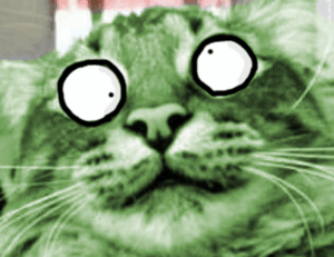 about qullnowisfap products