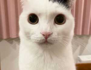 xnxubd video bokeh full bokeh lights video bokeh google earth 2021 new link japan blue.com