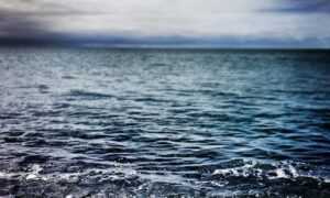 yamaha fs800 vs yamaha fg800 acoustic guitar specs