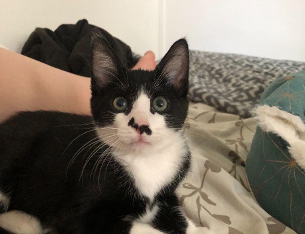 codes 8tshare6a python