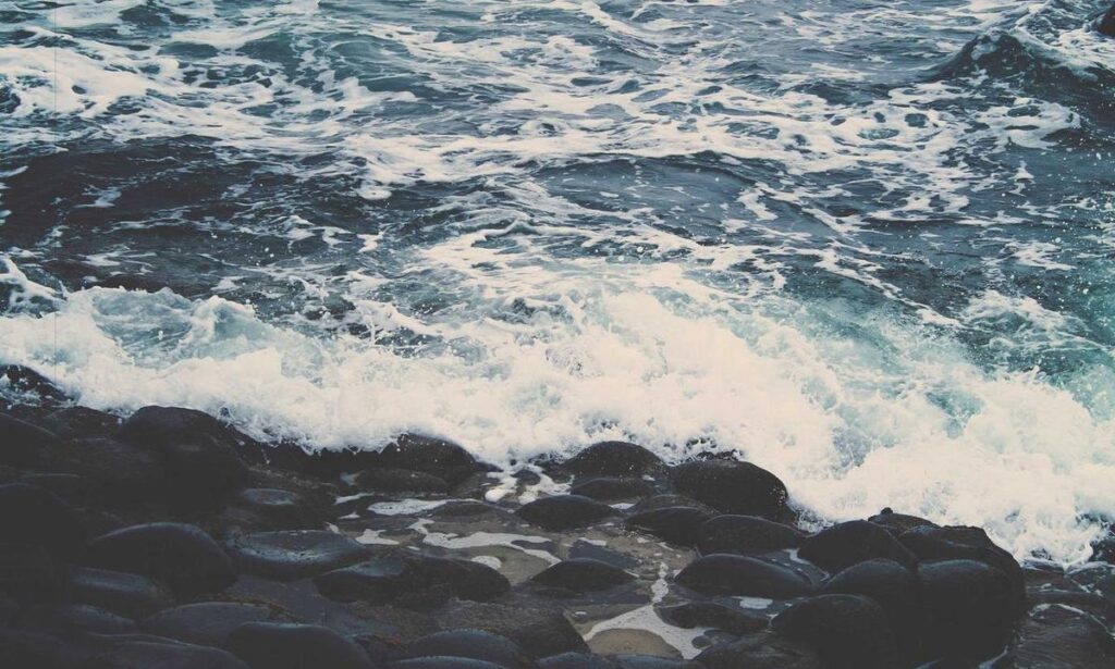 Smartphone Selection