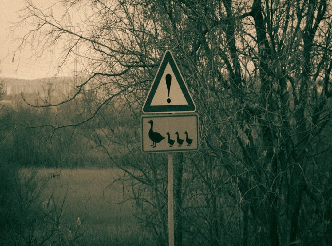 Collaborations and Cast