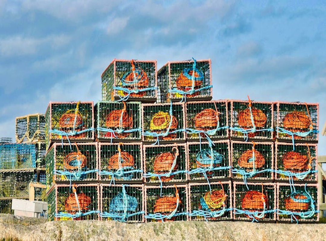 Software Automation Wbsoftwarement