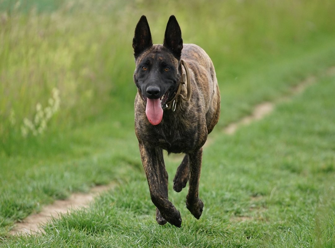 A Quick Guide to Watching Content on FlixHQ.ld