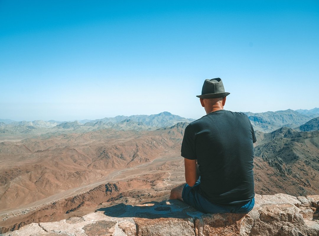 Smart Features to Look For in an Inexpensive Planter