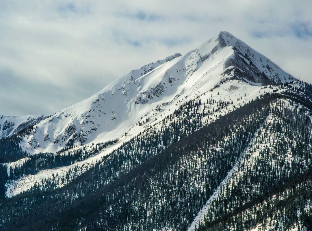 Behind the Scenes: How Telegram's Enforcement System Works