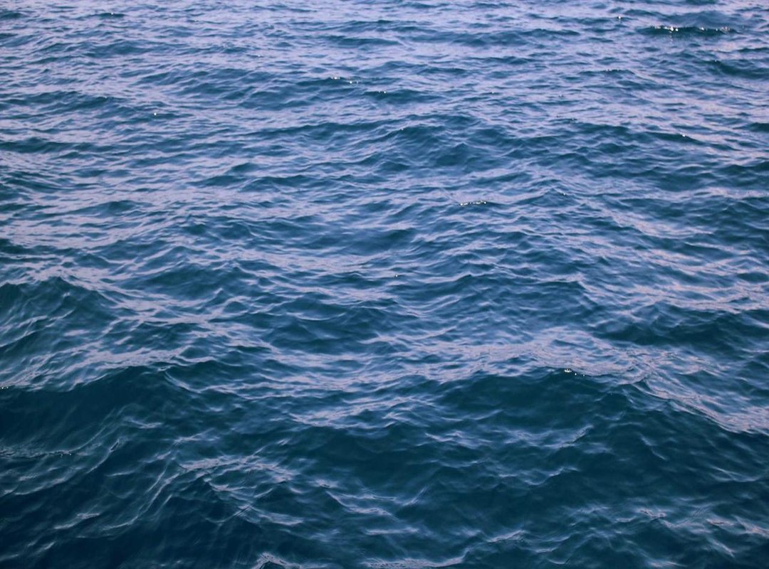 Unique Traits and Quirks: What Makes Them Stand Out