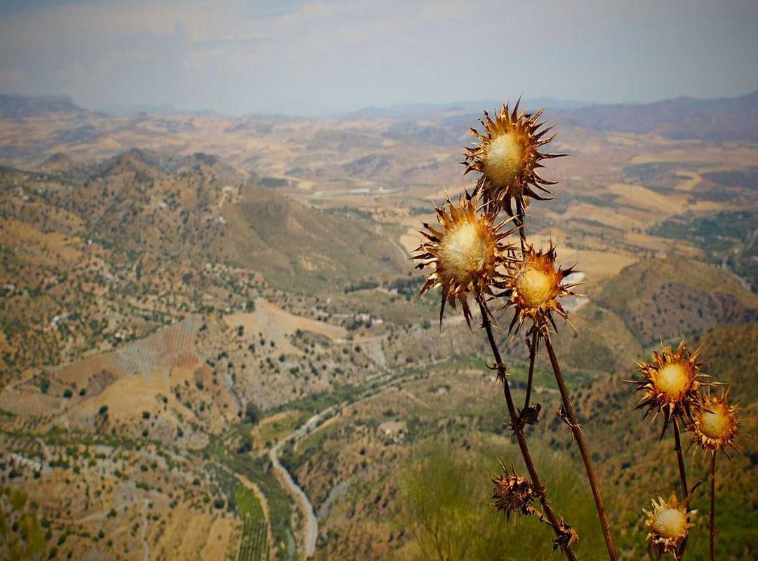 Where to Find the Best HD Itachi Wallpapers: A Comparison of Sources