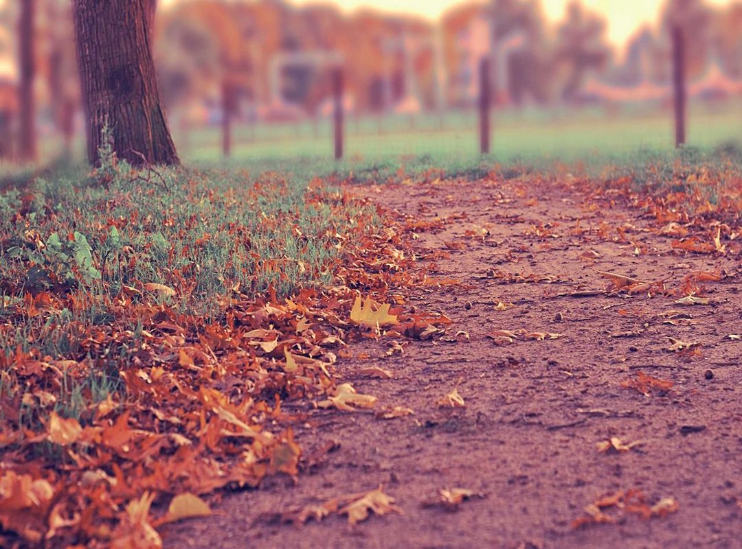 A Tactical Analysis: Strengths and Weaknesses