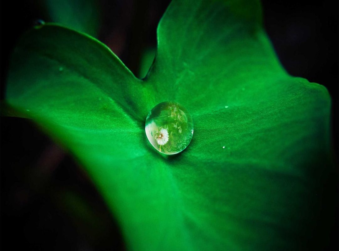 Risma's Ex-Husband: A Closer Look