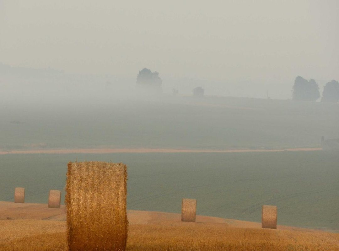 Unpacking the Pebble: Strengths and Weaknesses