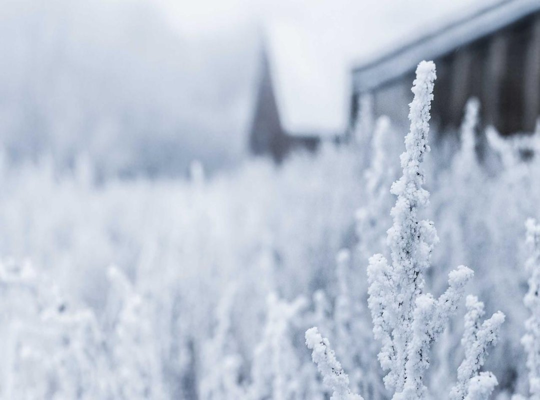 What's Inside: Navigating Key Features of the Portal