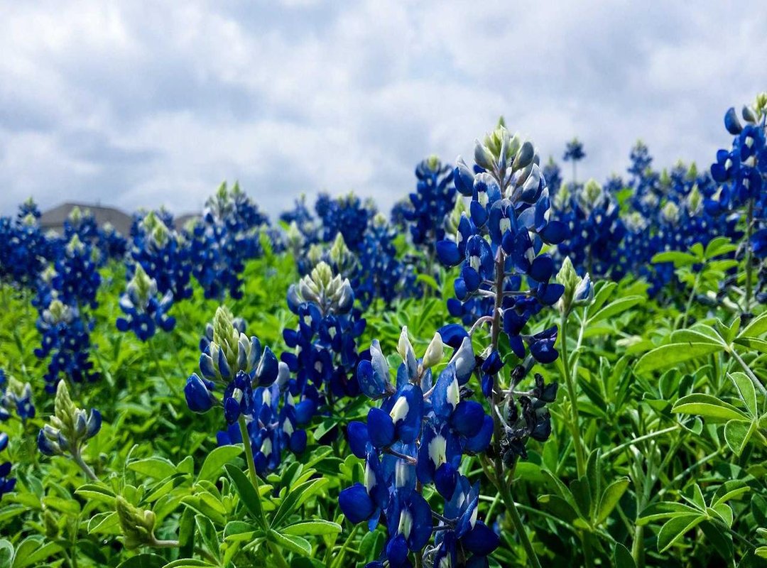 The Final Call: Should You Use Trade Proair 360?