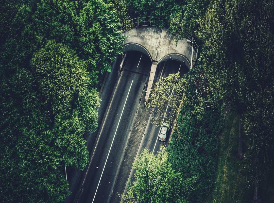 Getting Your Money Back: Timelines and What to Expect