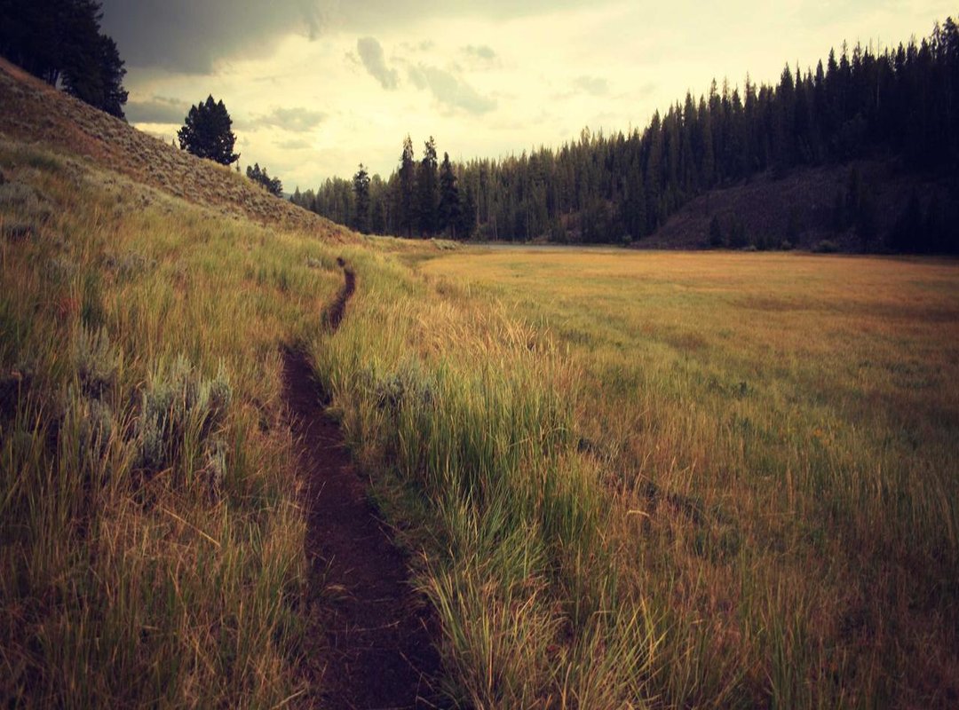 From Numbers to Knowledge: Understanding Indonesia's Legal Framework