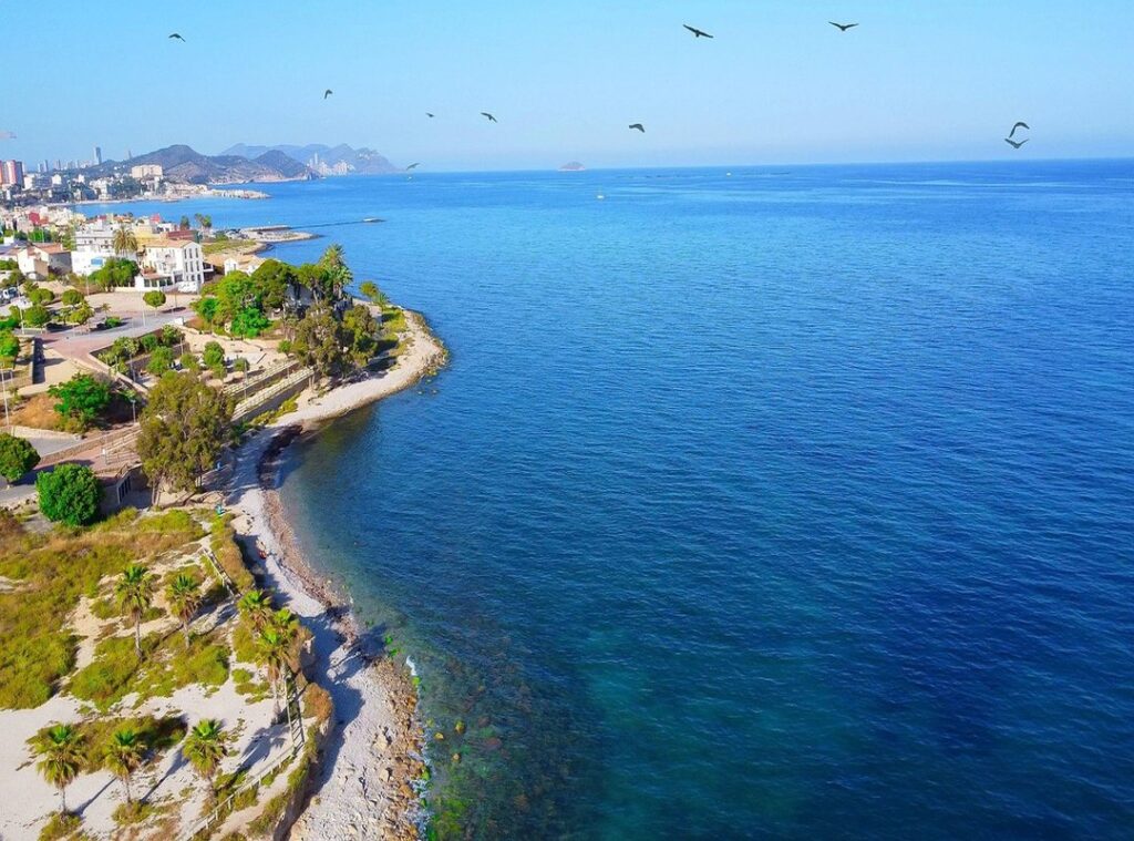 yoga challenge pro 2 easy